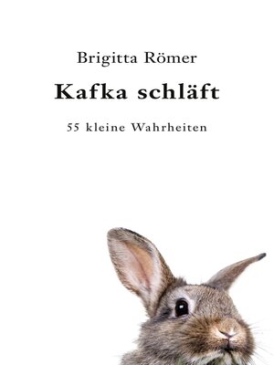 cover image of Kafka schläft